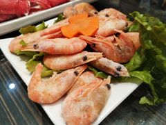 冰虾-健晟星期天