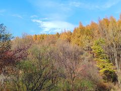 -横道河子东北虎林园
