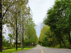 -仙海旅游度假区