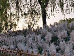 -咸阳湖景区