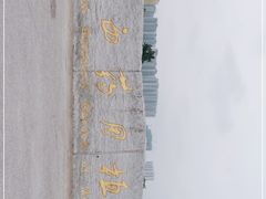 -广西壮族自治区药用植物园