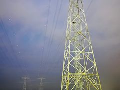 -宝安西湾红树林湿地公园