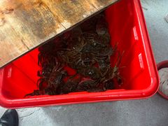 -阳澄湖大闸蟹·琼灵阁牌品牌连锁(吴中总店)