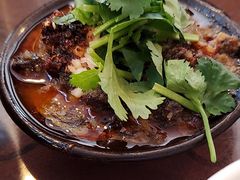 -新繁老號豌豆汤饭店·江湖菜(宝光寺店)
