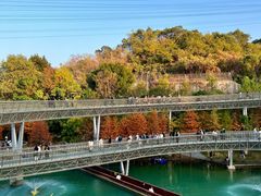-梅峰山地公园