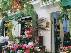 -溪岸路花鸟市场