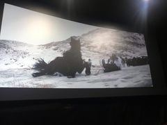 -大光明丽星VIP影城(昌里路杜比全景声店)