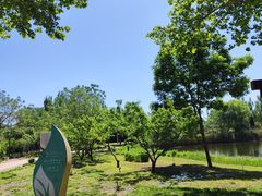 -石家庄市植物园