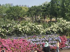 -苏州上方山国家森林公园