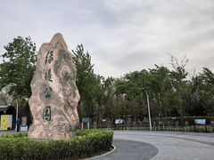 -绿堤公园