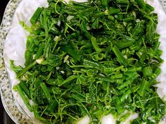 清炒龙须菜-白家寨子·山野白族菜(古城总店)