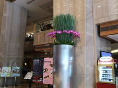 -广州粤海喜来登酒店