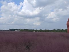 -嘉北郊野公园