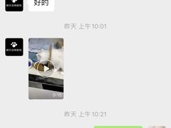 -福州肆爪动物医院