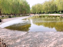 -丰台科技园生态主题公园