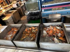 -金狮国际酒店自助餐(金狮店)