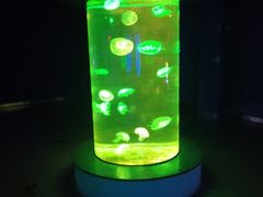 -福州罗源湾海洋世界旅游区