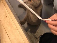 -颐玖 咖啡|甜品