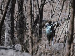 -阳台山自然风景区