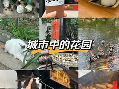 -中山詹园