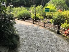 -汇龙潭