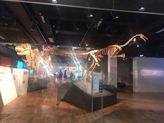 -墨尔本博物馆(Melbourne Museum)
