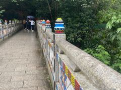-西双版纳原始森林公园