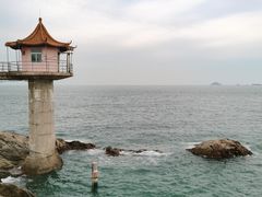 -小麦岛公园