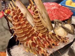 -鲜入围煮花胶鸡海鲜火锅