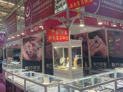 -天津梅江会展中心