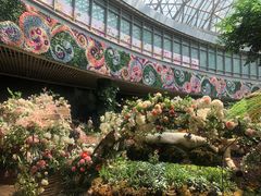 -花之城
