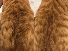 -comecome来吧宠物(奥克斯中心店)