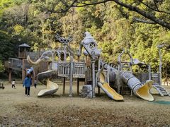 -梅州雁山湖国际花园度假区