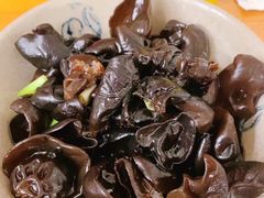 芥末木耳-炒豆合作社(东四总店)