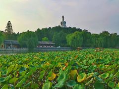 -管氏翅吧(地安门创始店)