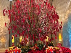 -广州天河希尔顿酒店