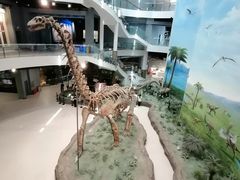 -辽宁古生物博物馆