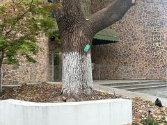 -J Create城市露营咖啡·简餐·宠物(上海动物园店)