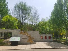 -武清南湖绿博园