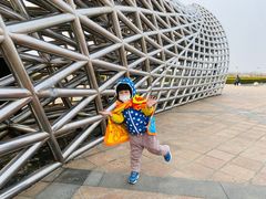 -南汇嘴观海公园