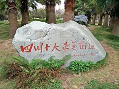 android_upload_pic-西昌邛海湿地