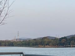 -羊山湖公园