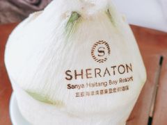-三亚海棠湾喜来登度假酒店大堂吧