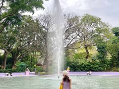 -九龙公园