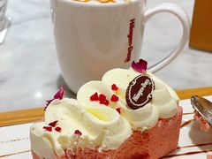 -哈根达斯(深圳海岸城店)