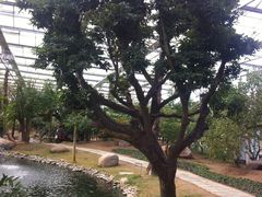 -南通洲际绿博园