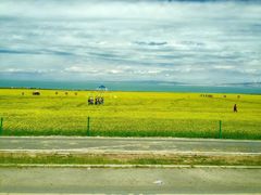 -青海湖国家重点风景名胜区