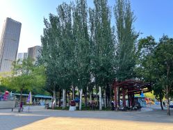 -大望京儿童游乐场