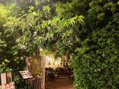 -Fern Forest Cafe