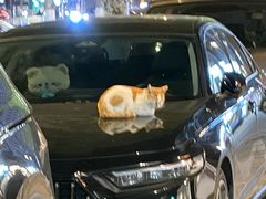 -乌家弄传统美食(新华路店)